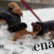 ヒメ日記 2025/03/04 21:33 投稿 えな モアグループ熊谷人妻花壇