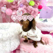 ヒメ日記 2025/12/25 08:55 投稿 えな モアグループ熊谷人妻花壇