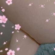 ヒメ日記 2025/08/16 19:26 投稿 めぐ 花夫人