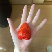 ヒメ日記 2025/04/12 14:29 投稿 純【ジュン】 LOVEキタ兎我野店