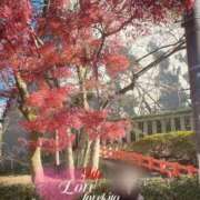 ヒメ日記 2025/12/18 21:23 投稿 純【ジュン】 LOVEキタ兎我野店