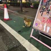 ヒメ日記 2026/01/28 22:43 投稿 純【ジュン】 LOVEキタ兎我野店