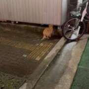 ヒメ日記 2026/03/05 18:03 投稿 純【ジュン】 LOVEキタ兎我野店