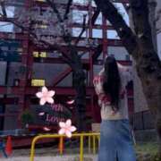 ヒメ日記 2026/04/01 08:53 投稿 純【ジュン】 LOVEキタ兎我野店