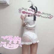 ヒメ日記 2025/02/15 15:00 投稿 はな 池袋ハートショコラ（シンデレラグループ）