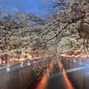 ヒメ日記 2025/04/07 13:40 投稿 あん 八王子デリ倶楽部