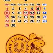 ヒメ日記 2025/06/05 14:33 投稿 あん 八王子デリ倶楽部