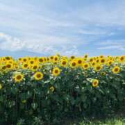 ヒメ日記 2025/09/10 15:36 投稿 あん 八王子デリ倶楽部