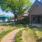 ヒメ日記 2025/06/11 09:43 投稿 ちえみ 梅田アバンチュール