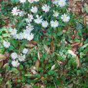 ヒメ日記 2025/06/13 10:08 投稿 ちえみ 梅田アバンチュール