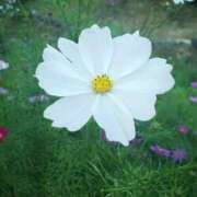 ヒメ日記 2025/06/18 09:21 投稿 ちえみ 梅田アバンチュール