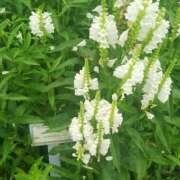 ヒメ日記 2025/07/25 08:41 投稿 ちえみ 梅田アバンチュール