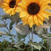 ヒメ日記 2025/07/30 10:10 投稿 ちえみ 梅田アバンチュール