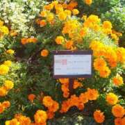 ヒメ日記 2025/09/01 09:31 投稿 ちえみ 梅田アバンチュール