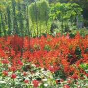 ヒメ日記 2025/09/08 09:07 投稿 ちえみ 梅田アバンチュール