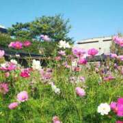 ヒメ日記 2025/09/30 09:22 投稿 ちえみ 梅田アバンチュール