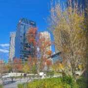 ヒメ日記 2025/10/29 08:47 投稿 ちえみ 梅田アバンチュール