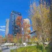 ヒメ日記 2025/10/29 09:06 投稿 ちえみ 梅田アバンチュール