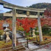 ヒメ日記 2025/11/07 08:22 投稿 ちえみ 梅田アバンチュール