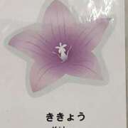 ヒメ日記 2025/11/19 16:32 投稿 ちえみ 梅田アバンチュール