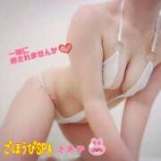 ヒメ日記 2025/02/23 14:27 投稿 さあや ごほうびSPA上野店