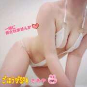 ヒメ日記 2025/11/30 12:05 投稿 さあや ごほうびSPA上野店