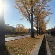 ヒメ日記 2025/11/26 12:04 投稿 もみじ 上野回春性感マッサージ倶楽部