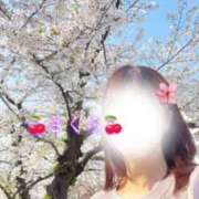 ヒメ日記 2025/04/10 16:59 投稿 さくら 大阪回春性感エステティーク谷九店