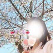 ヒメ日記 2025/04/12 13:46 投稿 さくら 大阪回春性感エステティーク谷九店