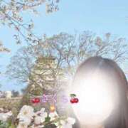 ヒメ日記 2025/04/15 12:16 投稿 さくら 大阪回春性感エステティーク谷九店