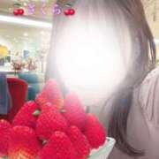 ヒメ日記 2025/04/20 13:56 投稿 さくら 大阪回春性感エステティーク谷九店