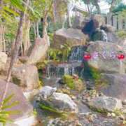 さくら さくら（エステティーク谷九店） 大阪回春性感エステティーク谷九店