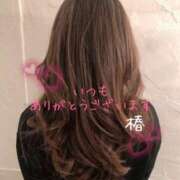 ヒメ日記 2024/12/19 10:44 投稿 川口椿(かわぐちつばき) 五十路マダムエクスプレス厚木店(カサブランカグループ)