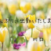 ヒメ日記 2025/04/19 18:36 投稿 川口椿(かわぐちつばき) 五十路マダムエクスプレス厚木店(カサブランカグループ)