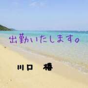 ヒメ日記 2025/04/23 19:38 投稿 川口椿(かわぐちつばき) 五十路マダムエクスプレス厚木店(カサブランカグループ)