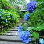 ヒメ日記 2025/05/08 11:02 投稿 川口椿(かわぐちつばき) 五十路マダムエクスプレス厚木店(カサブランカグループ)