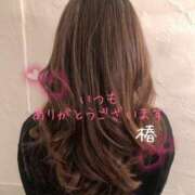 ヒメ日記 2026/03/10 14:18 投稿 川口椿(かわぐちつばき) 五十路マダムエクスプレス厚木店(カサブランカグループ)