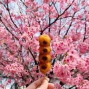 ヒメ日記 2026/03/24 16:58 投稿 川口椿(かわぐちつばき) 五十路マダムエクスプレス厚木店(カサブランカグループ)