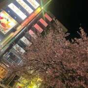 ヒメ日記 2025/03/25 00:49 投稿 つばき 上野回春性感マッサージ倶楽部