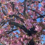 めぐ お待ちしてますよ！ モアグループ川越人妻花壇