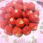 ヒメ日記 2025/05/11 16:34 投稿 小森　あん アソビザ女子社員 イメクラ部