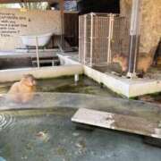 ヒメ日記 2025/10/13 19:31 投稿 小森　あん アソビザ女子社員 イメクラ部