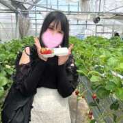 ヒメ日記 2025/04/29 11:49 投稿 ちはや 金瓶梅(きんぺいぱい)(雄琴)