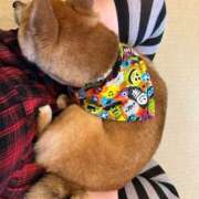 ヒメ日記 2025/05/21 20:14 投稿 ちはや 金瓶梅(きんぺいぱい)(雄琴)