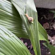 カナメ なんで？…🐌 欲しがり人妻天国