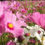 ヒメ日記 2025/10/21 15:58 投稿 二階堂ちか ウフフな40。ムフフな50。。（横浜ハレ系）