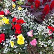 ヒメ日記 2025/11/28 17:01 投稿 二階堂ちか ウフフな40。ムフフな50。。（横浜ハレ系）