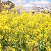 ヒメ日記 2026/03/13 16:13 投稿 二階堂ちか ウフフな40。ムフフな50。。（横浜ハレ系）