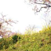 ヒメ日記 2026/04/03 12:49 投稿 二階堂ちか ウフフな40。ムフフな50。。（横浜ハレ系）