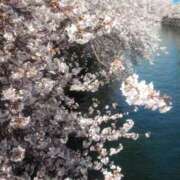 ヒメ日記 2026/04/05 06:14 投稿 二階堂ちか ウフフな40。ムフフな50。。（横浜ハレ系）